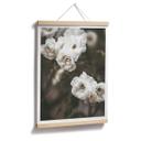 Plakat - Annie - Louise Bugnet Rose