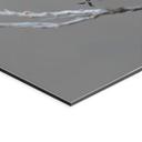 Billede med syngende blåhals - van Duijn – print på aluminium (Alu-Dibond)