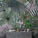Livingwalls Fototapet Walls by Patel Hibiscus 1