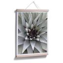 Affiche - Agave 01