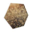Hexagon Hout Mexican Daisy