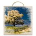 Cuadro de madera Flores de abril - 40x41,5 cm