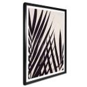 Póster 1X Estudio - Hoja de palmera negra