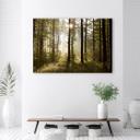 Canvasbillede, Morgen i skoven