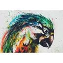 Livingwalls papier peint photo ARTist Parrot 