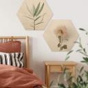 Hexagone - Bois Annie - Les roses