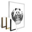 Póster Kools - Panda punk