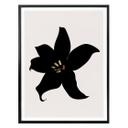 Póster Kubistika - Orquídea oscura