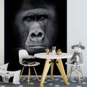 Papier peint photo Gorille - 192x260 cm