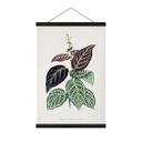 Tekstil plakat Illustration af blade - Bignonia Argyro Violascea