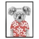Póster Solti - Koala en verano