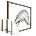 Póster Kvilis - Oso Yoga 01