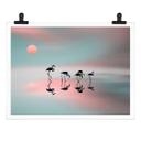 Poster Natalia - Famille de flamants roses
