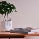 Mat creme tapet creme mat - moderne non-woven tapet beige - ensfarvet tapet med glat overflade