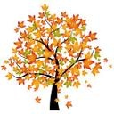 Sticker mural - Arbre Automne 1