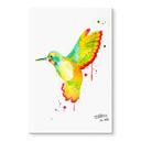 Tableau en verre acrylique - Buttafly - Colibri