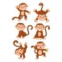 Sticker mural - Set de singes rigolos