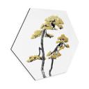 Hexagon Dibond Amini - Bonsai