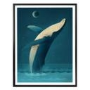 Plakat - Braun - Humpback Whale