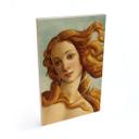Træplakat Portræt af Venus - Inspireret af Botticelli