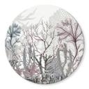 Tableau sur verre Sir Edward - Merveilles de la mer