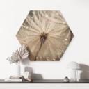 Hexagon Hout Paardenbloem in ochtenddauw - Treechild