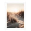 Póster Treechild - Puesta de sol sobre las dunas
