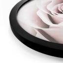 Plakat 1X Studio - Rose