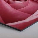 Hexagon - Alu-Dibond - Pink Rose