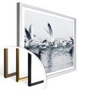 Póster gaviotas