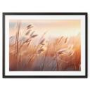 Póster Hierba de las dunas al sol del atardecer - Treechild