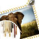 Poster - Ghizzi Panizza - Rencontres dans la savane