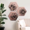 Hexagon Dibond Set Koper Effect - Kools - Flowers