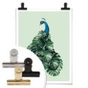 Plakat - Loose - Monstera Bird