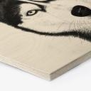 Zeshoekige houten foto Siberische husky - hondenportret - Korenkova