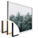 Póster - Cactus