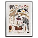 Plakat - Braun - Africa