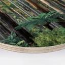 Cuadro de madera bosque de eucaliptos en Yarra Ranges - Colombo - Redondo