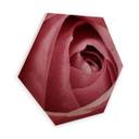 Hexagon hout - Pink Roses