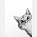 Fototapet - Graves - Sneaky Cat
