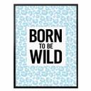 Plakat - Leopard - Born to be Wild