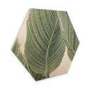Sekskantet træ Calathea-plante - Sisi & Seb
