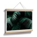 Póster Botánica tropical