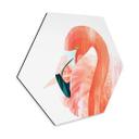 Hexagone - alu-Dibond Goed Blauw - Pink Flamingo
