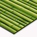 Revêtement pour cuisine - Alu-Dibond - Bambous panorama 