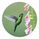 Tableau sur alu-Dibond rond van Duijn - Colibri dans la magie des fleurs roses