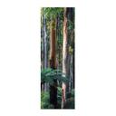 Póster de tela Bosque de eucaliptos en Yarra Ranges - Colombo - Panorama