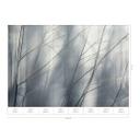Guido Maria Kretschmer Fotomural Aeries- Art Edition 2 gris