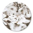 Tableau sur verre Annie - Jasmin - Rond