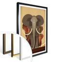 Plakat - Braun - Elephants